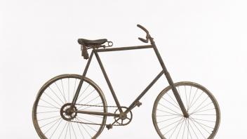 Pierce Miller Bicycle Collection, image
