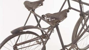 Pierce Miller Bicycle Collection, image