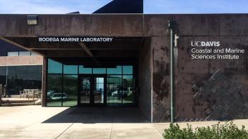 Building Sign