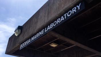 Building Sign