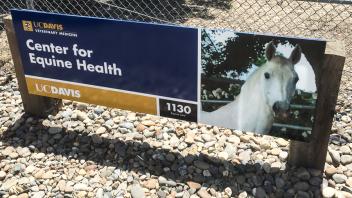 Building Sign