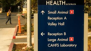 Wayfinding