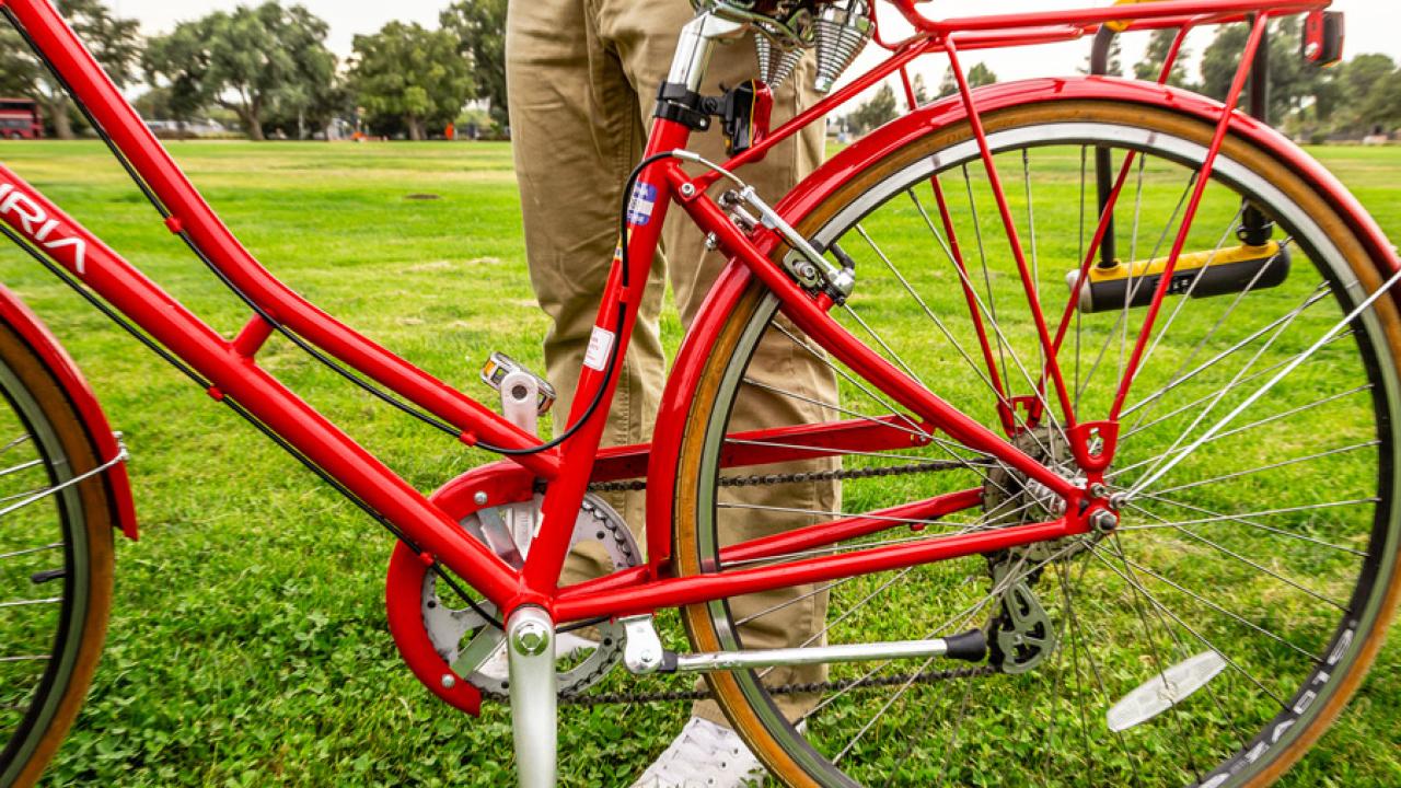 Office Bicycle