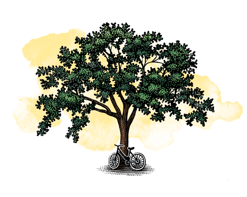 Bike Leaning on Tree