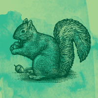 Green Squirrel