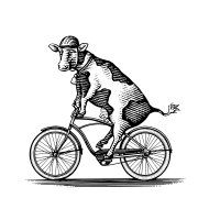 Cow on a bicycle