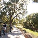 Residents riding bicycles in the Arboretum.