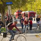 Aggie Cyclists