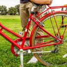 Office Bicycle